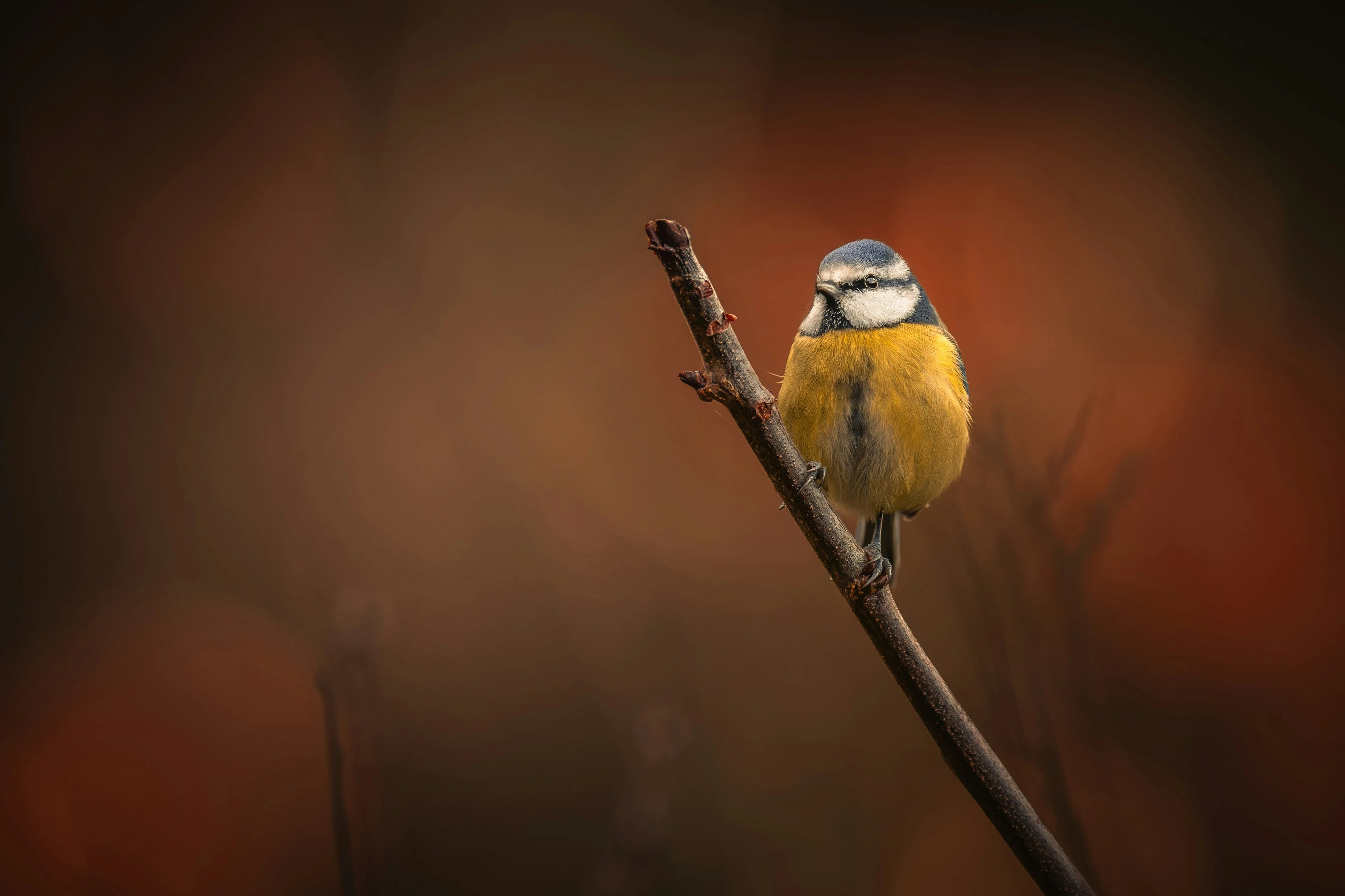 Digital marketing presentation slide.