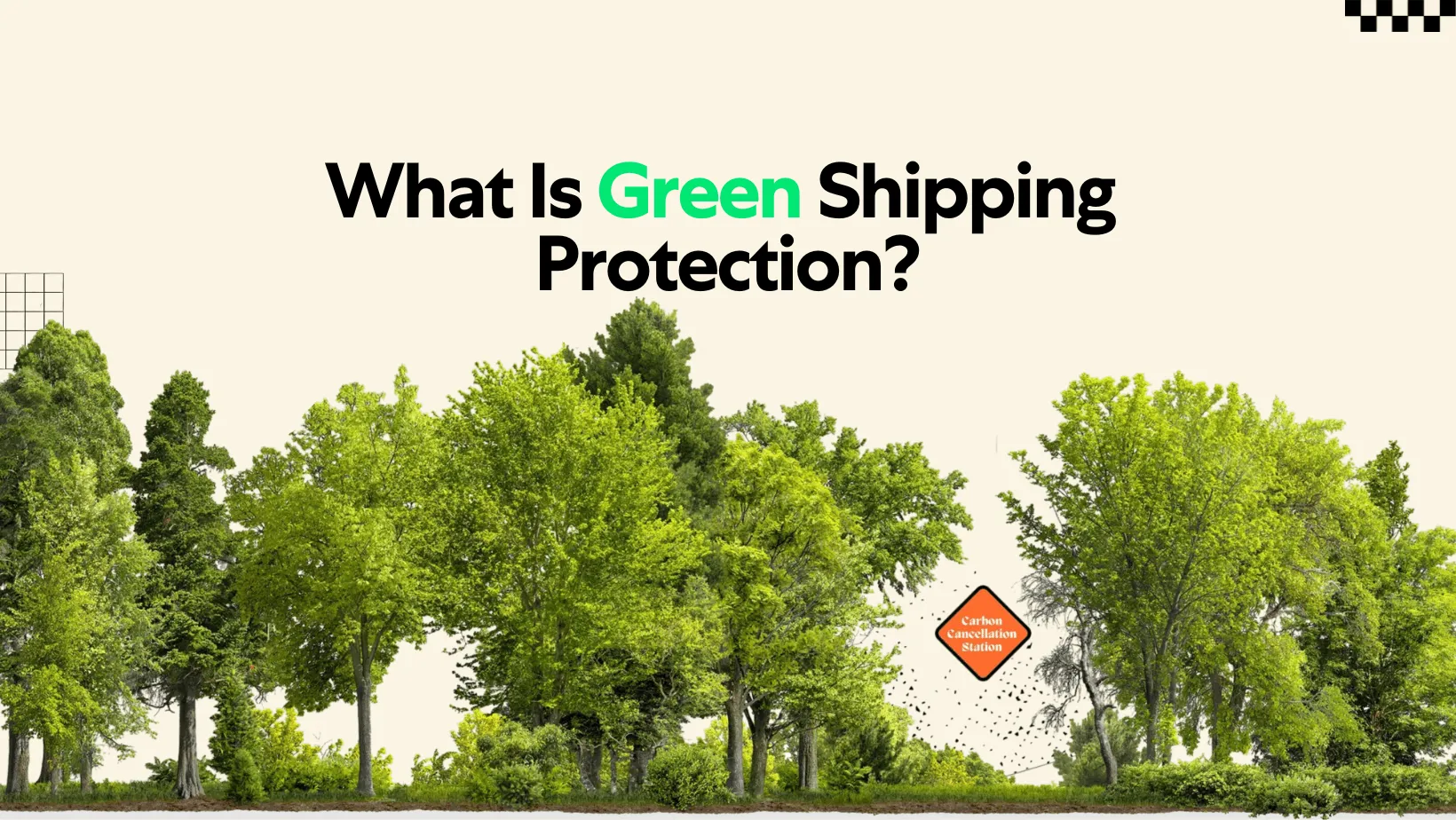What Is Green Shipping Protection?