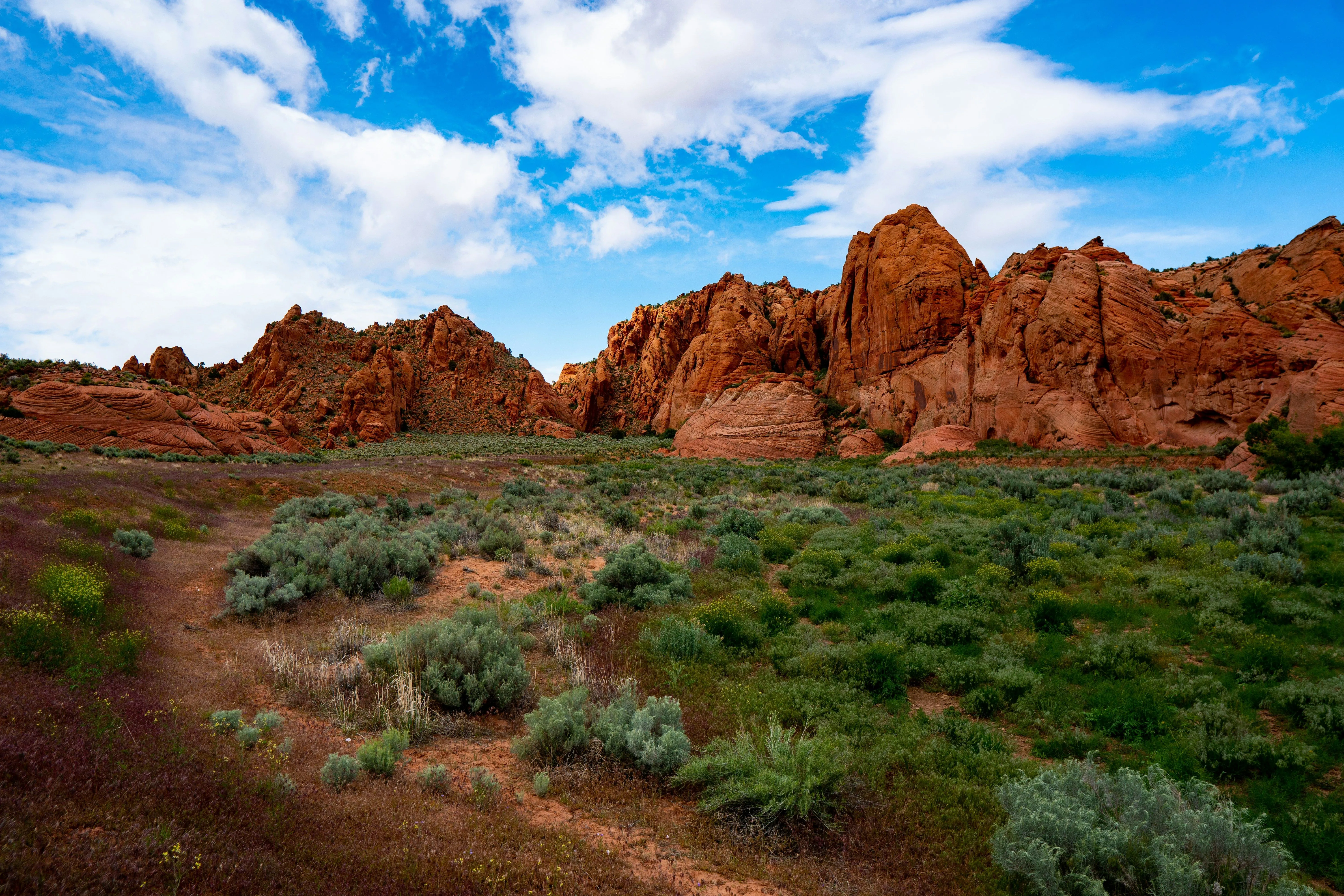 Green vegetation against red hills