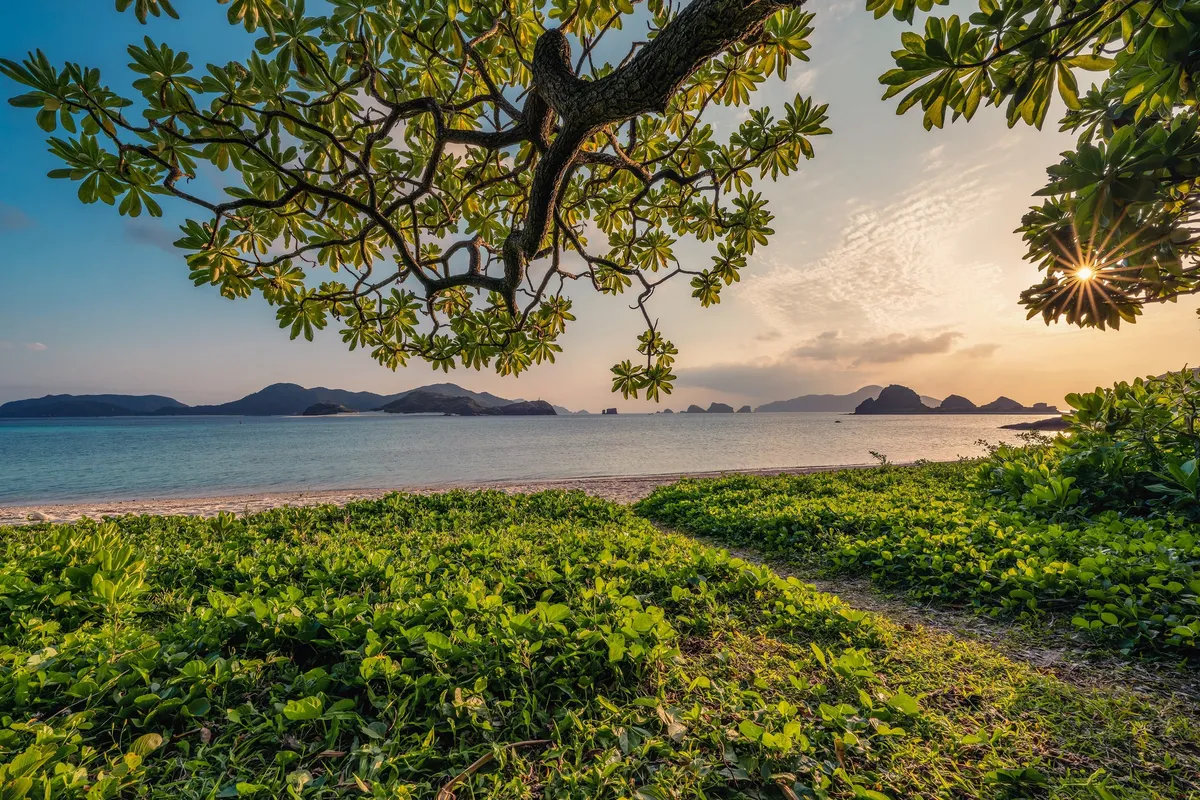 View of an ocean bay framed by vegetation